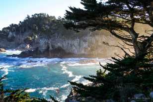 Point Lobos morning-0061